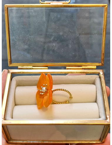 Anello Il giardino segreto