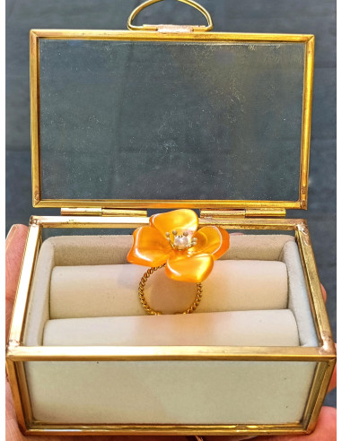 Anello Il giardino segreto