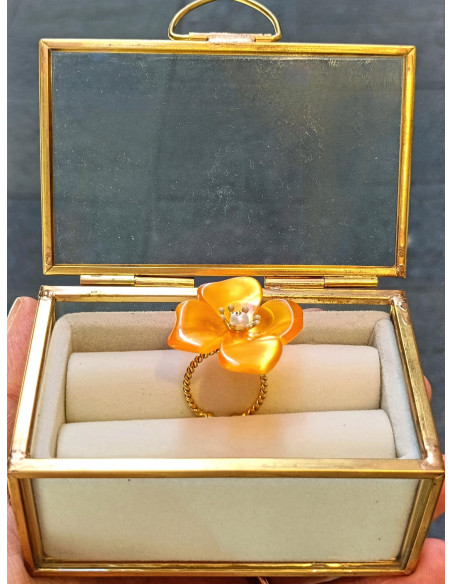 Anello Il giardino segreto